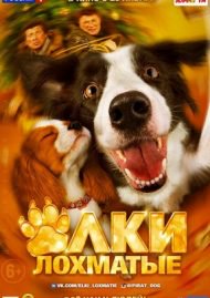 Evde Köpek Başına izle