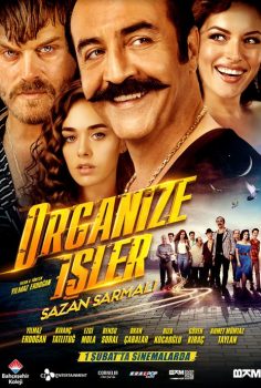 Organize İşler 2: Sazan Sarmalı izle