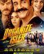 Organize İşler 2: Sazan Sarmalı izle