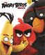 The Angry Birds Movie izle