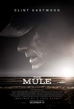 Kaçakçı izle