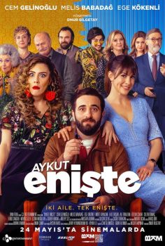 Aykut Enişte izle