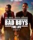 Bad Boys 3: Her Zaman Çılgın izle