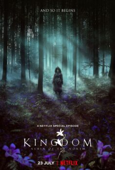 Kingdom: Ashin of the North izle