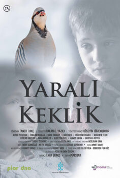 Yaralı Keklik izle