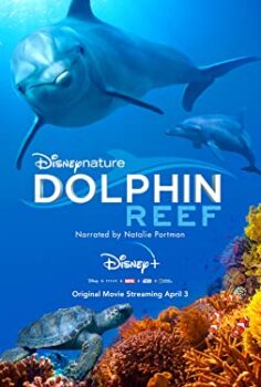 Dolphin Reef izle