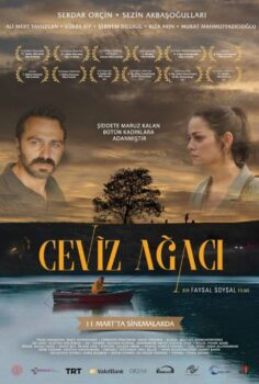 Ceviz Ağacı izle