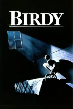 Birdy izle