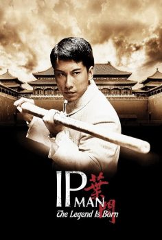 Ip Man: Efsane Doğuyor izle