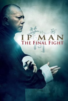 Ip Man: Son Dövüş izle