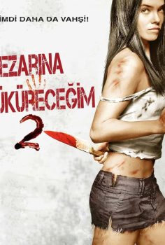 Mezarına Tüküreceğim 2 izle